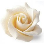 White chocolate roses – Single White Chocolate Rose