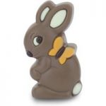 Milk chocolate Easter bunny & butterfly – Non sale